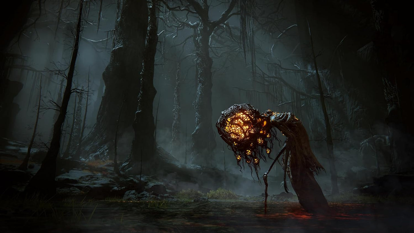ELDEN RING Shadow of the Erdtree Edition - PlayStation 5