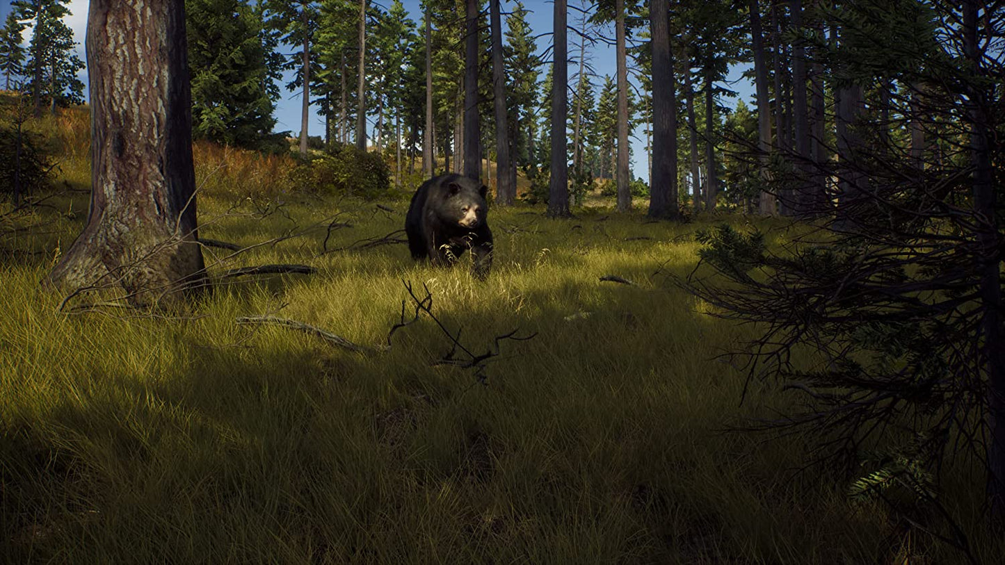 Way Of The Hunter - PlayStation 5