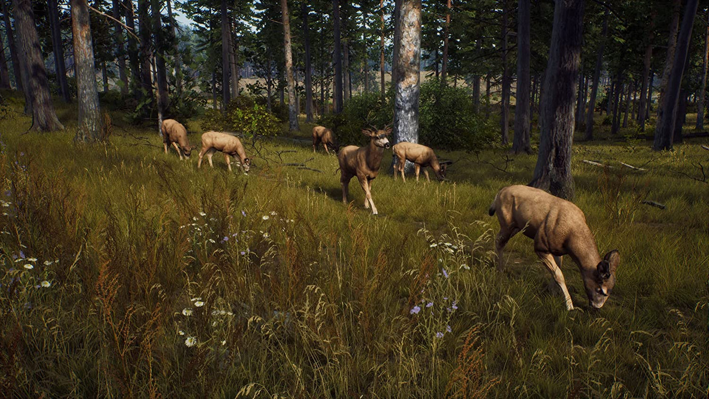 Way Of The Hunter - PlayStation 5