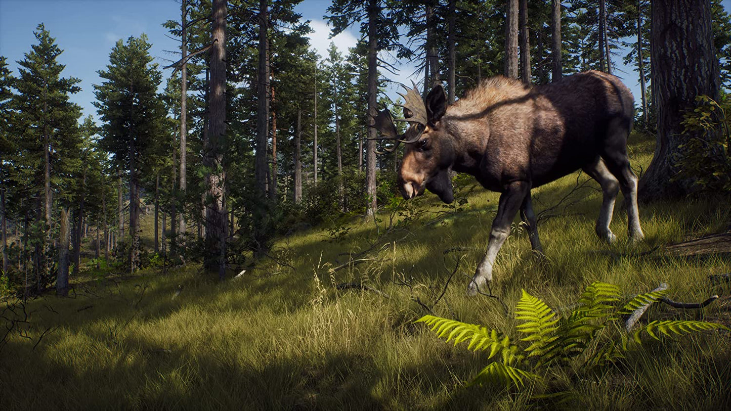 Way Of The Hunter - PlayStation 5