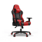 FURGLE Carry Series Racing Style Gaming Chair - 5 Colors