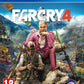 Far Cry 4 - PlayStation 4 (USED)