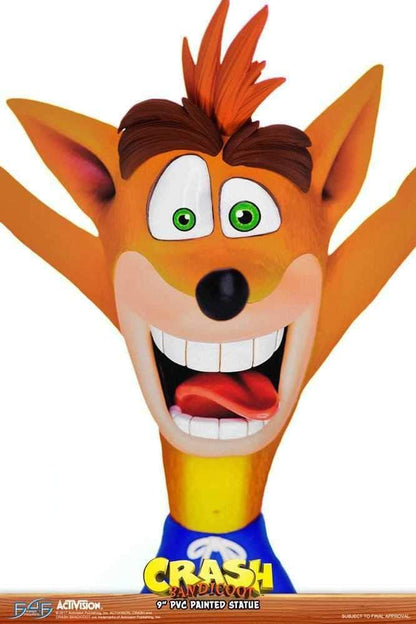 Crash Bandicoot 22CM Scale PVC Action Figure