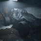 Terminator: Resistance - Complete Edition - Xbox Series X (USED)