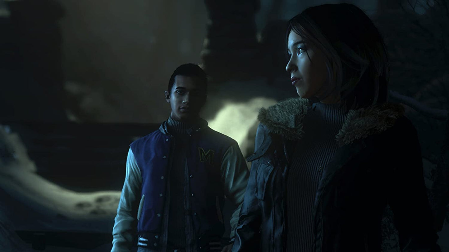 Until Dawn - PlayStation 4