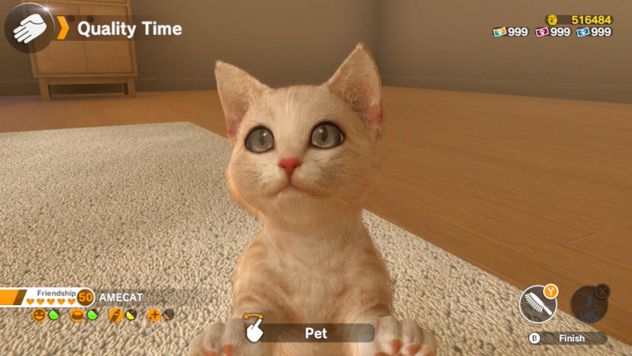 Little Friends: Dogs & Cats  - Nintendo Switch