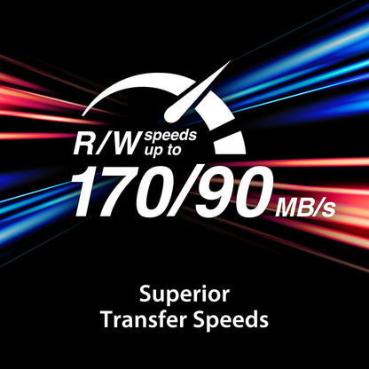 بطاقة ذاكرة Kingston SDXC Canvas Go Plus سعة 256 جيجابايت بسرعة قراءة 170 ميجابايت/ثانية UHS-I وC10 وU3 وV30 (SDG3/256GB)