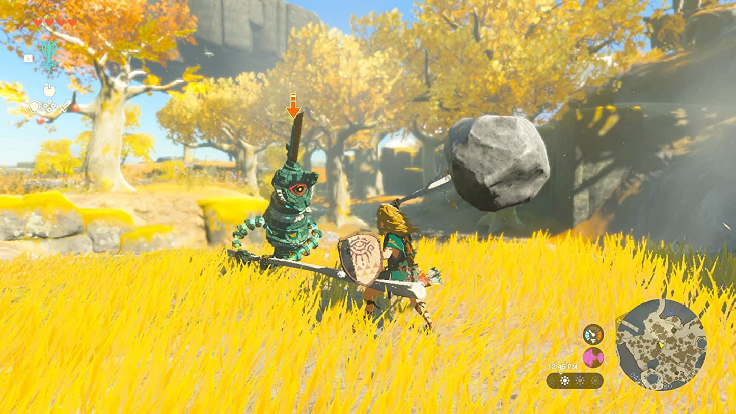 The Legend of Zelda: Tears of the Kingdom Edition - Nintendo Switch