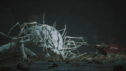 بلاك ميث: ووكونغ ديلوكس إيديشن - بلاي ستيشن 5