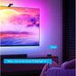 Govee - Envisual TV Backlight T2 with Dual Cameras (55~65 inch)