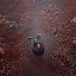 Silent Hill f - Day One Edition - PlayStation 5