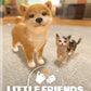 Little Friends: Dogs & Cats  - Nintendo Switch