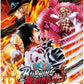 One Piece: Burning Blood - Playstation Vita (USED)