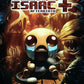 The Binding of Isaac: Afterbirth+ Launch Edition Cover - Nintendo Switch (USED)