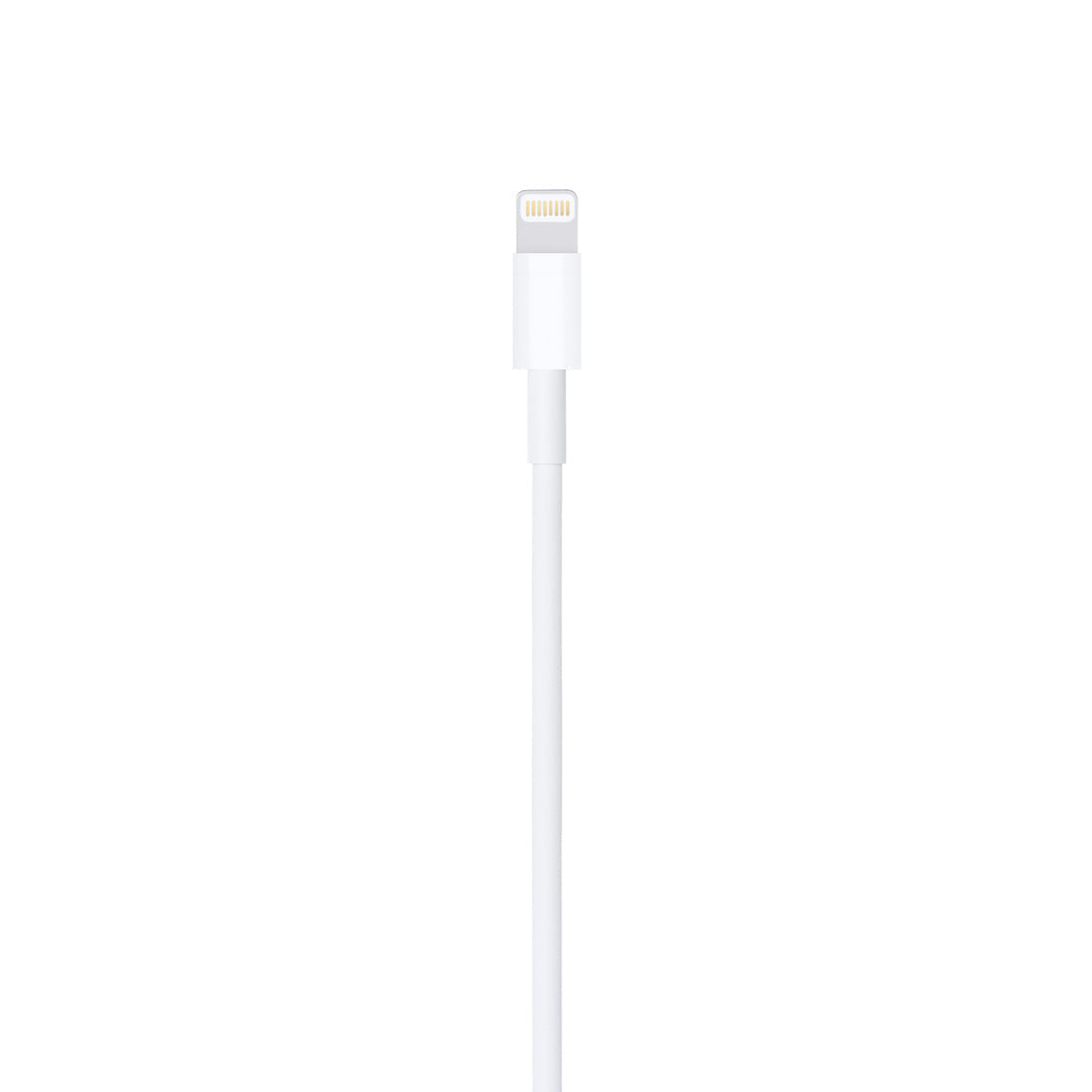 Apple LIGHTNING TO USB CABLE 1M
