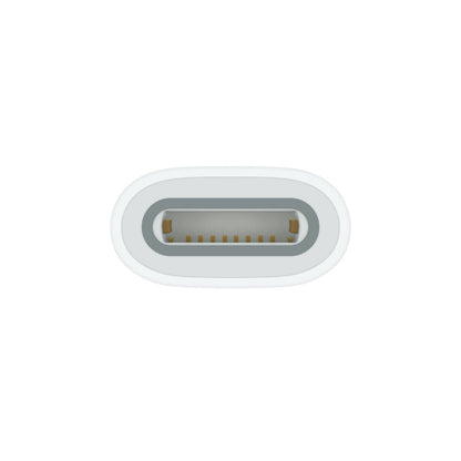 Apple power ADAPTER : USB-C TO APPLE PENCIL