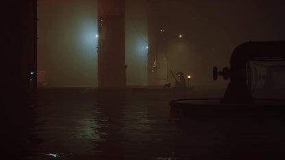 ستراي - بلاي ستيشن 5