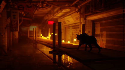 ستراي - بلاي ستيشن 4