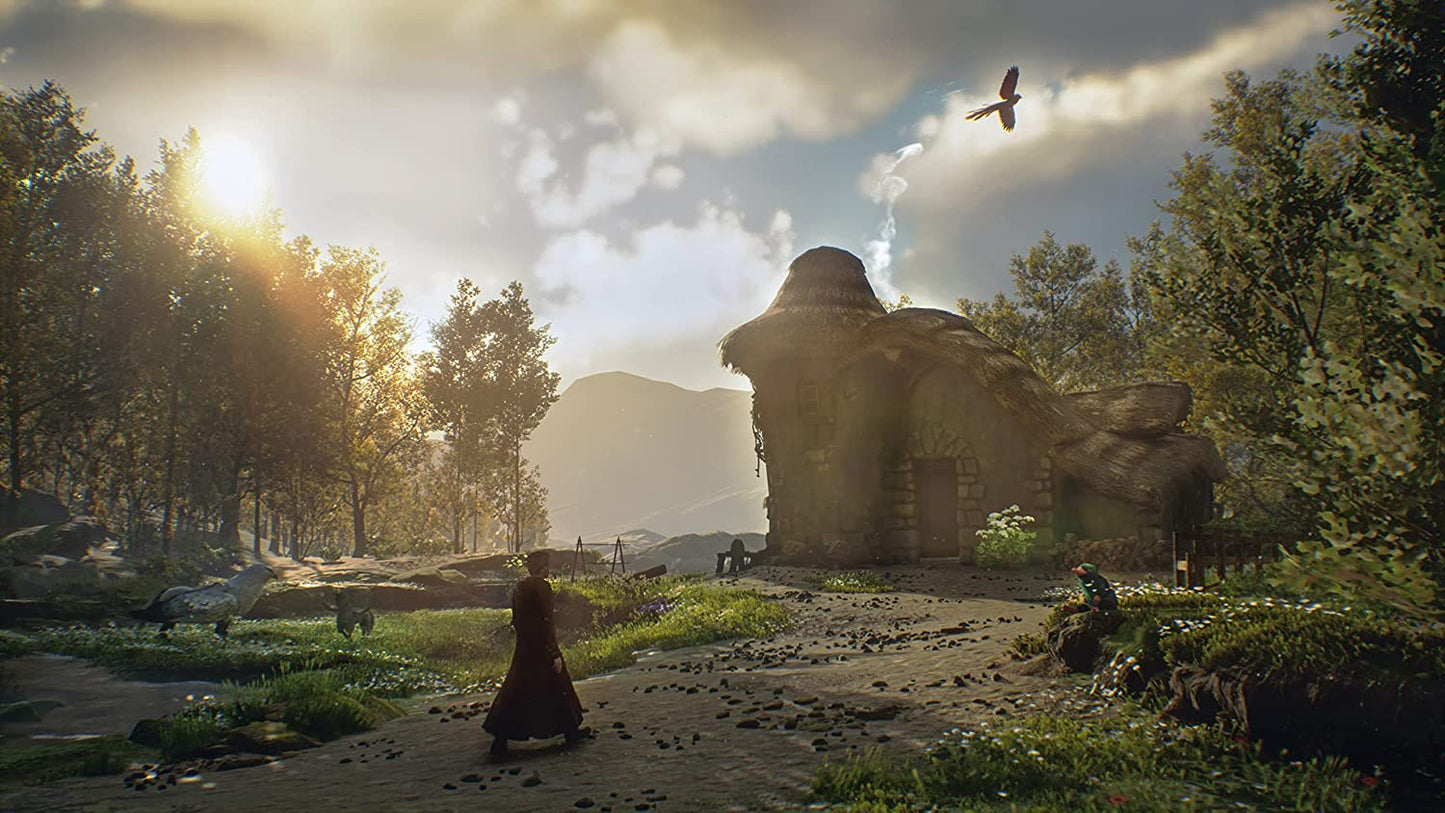 Hogwarts Legacy - Xbox Series X