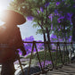 Ghost of Tsushima Director's Cut - PlayStation 4