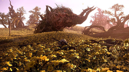 قلوب برية - بلاي ستيشن 5 