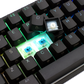 Ducky One 2 Mini v2 RGB LED 60% Mechanical Keyboard - Black